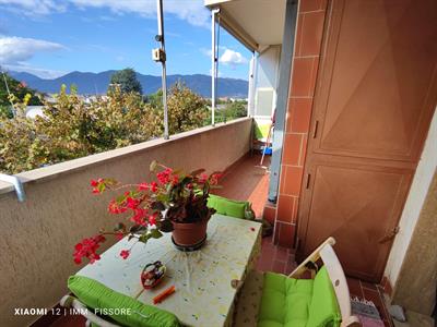 Albenga,  900 mt. mare, bilocale con terrazzo.
