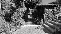 Albenga 3 km dal mare, quadrilocale semi-indipende, su due livelli, terrazzo, giardino.